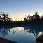 Il Pettirosso Di
