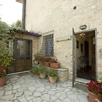 Il Pettirosso Di