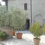 Il Pettirosso Di *