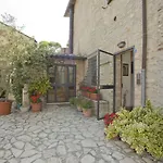 Il Pettirosso Di *