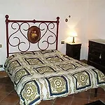 Il Pettirosso Di
