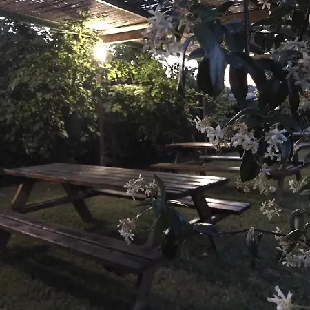 Il Pettirosso Di * Сієна