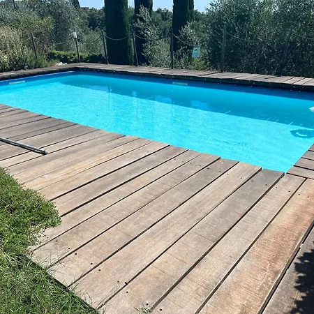 Il Pettirosso Di *