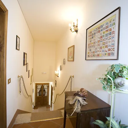 Il Pettirosso Di Siena