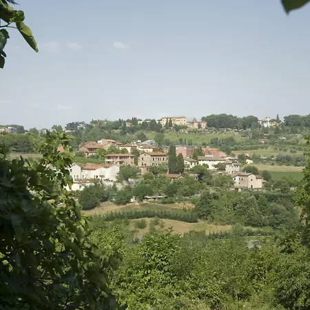 Il Pettirosso Di * Sienne