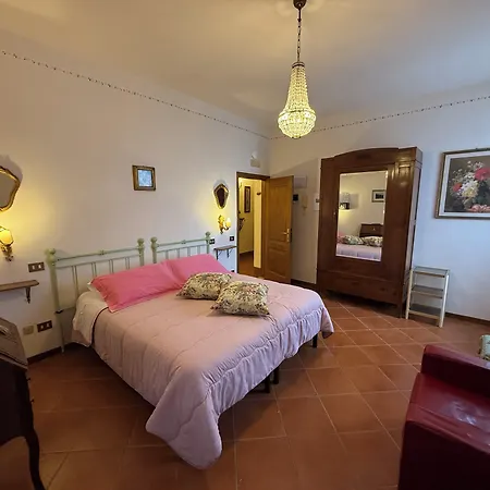 Il Pettirosso Di *