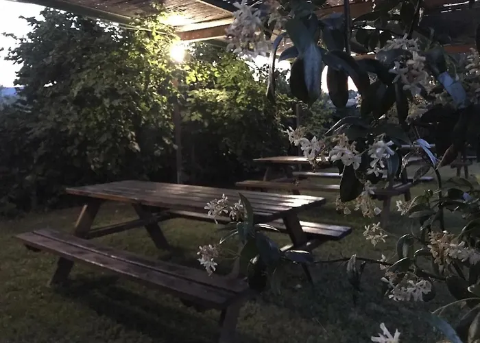 Il Pettirosso Di * Siena