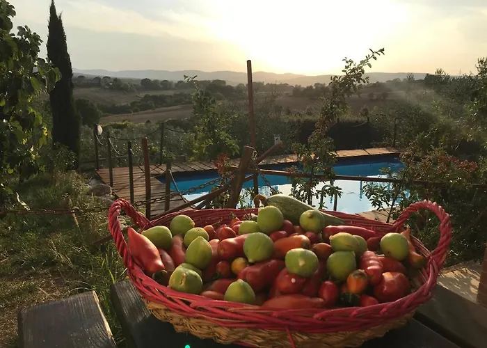 Il Pettirosso Di Country house *