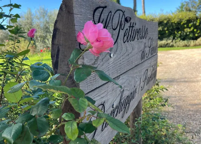 Il Pettirosso Di Country house *