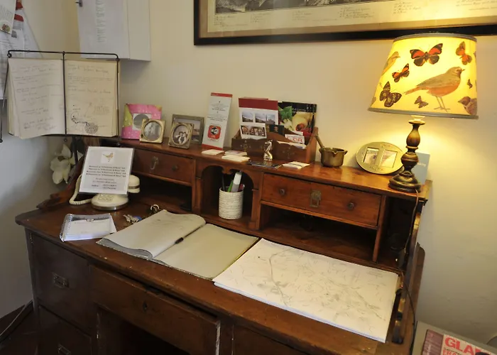 Il Pettirosso Di Landhuis *