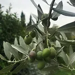 Il Pettirosso Di Country house *