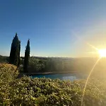 Il Pettirosso Di