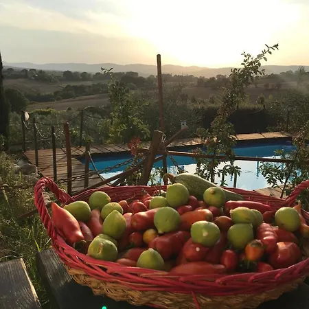 Il Pettirosso Di Country house *