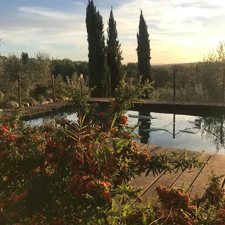 Il Pettirosso Di Lantställe Siena