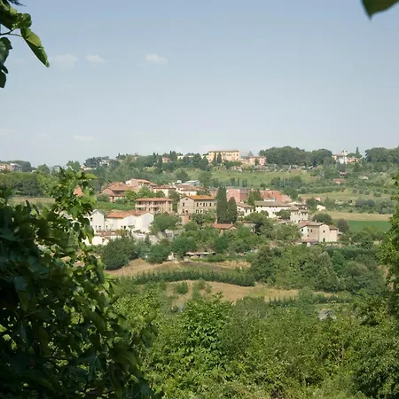 Il Pettirosso Di