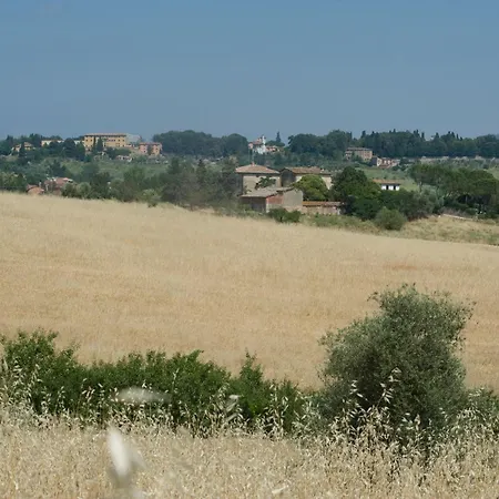 Il Pettirosso Di