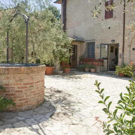 Il Pettirosso Di
