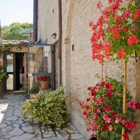 Country house Il Pettirosso Di