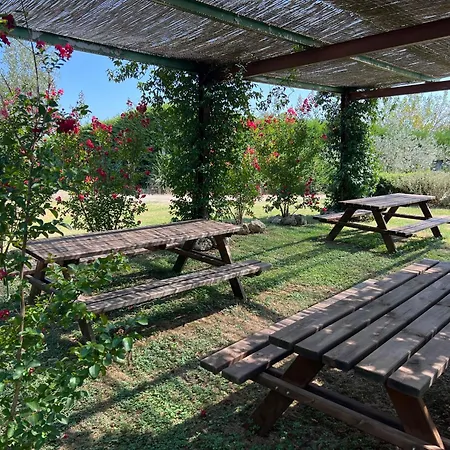 Il Pettirosso Di Siena