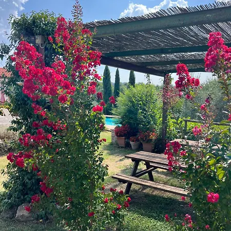 Il Pettirosso Di Lantställe Siena