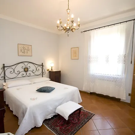 Il Pettirosso Di