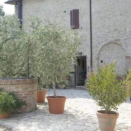 Il Pettirosso Di