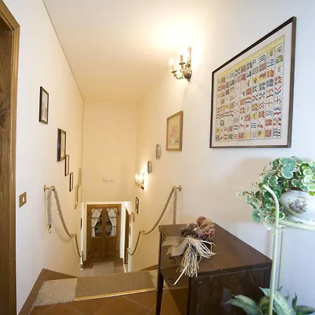 Il Pettirosso Di