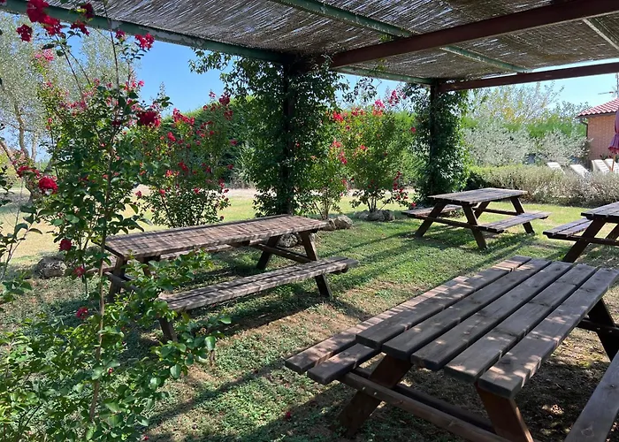 Il Pettirosso Di Siena