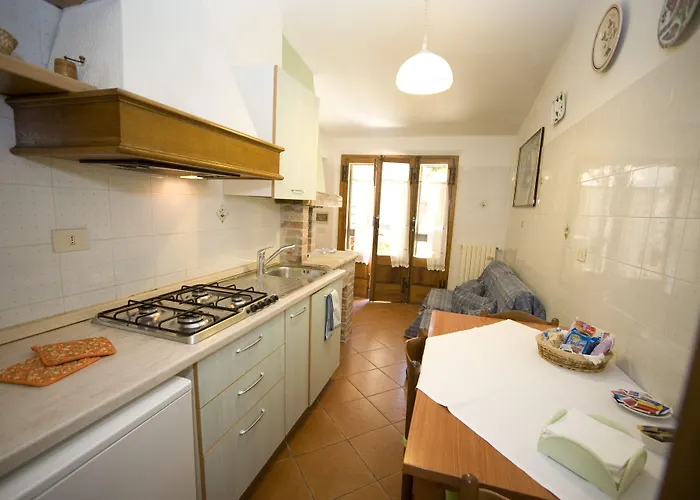 Il Pettirosso Di Siena